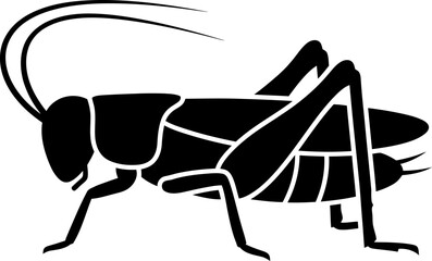 Black silhouette of a cricket insect on white background © Md Imran