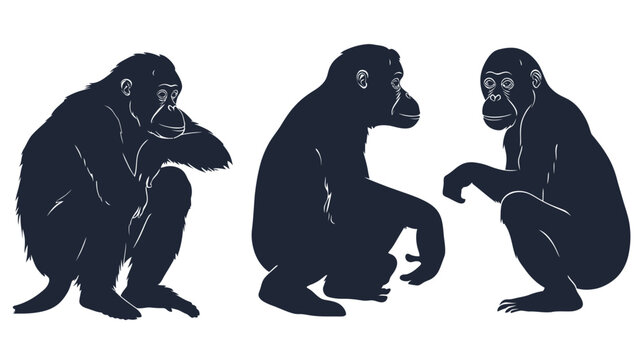 Three ape silhouettes in various positions, dark against a white background