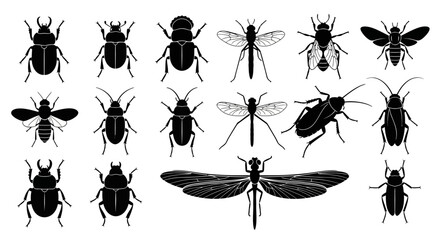 Black insect icons, bug silhouettes, 15 vector graphics, pest illustrations, creepy crawly clip art © Vasant