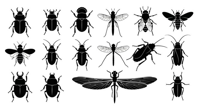 Black insect icons, bug silhouettes, 15 vector graphics, pest illustrations, creepy crawly clip art
