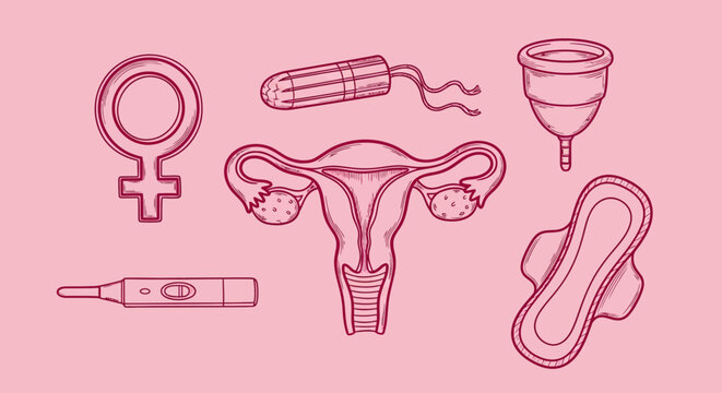 Female reproductive health icons, menstrual products, pink line art, women's hygiene symbols, vector illustrations
