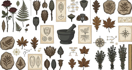 Vintage Botanical Alchemist Herbarium Set with Dried Roses Ferns Autumn Leaves Fossils Mortar and Pestle Compass and Scientific Alchemy Sketches for Witchcraft and Apothecary Designs © Yousuf