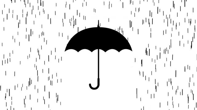 Animation black umbrella opening and protection rain falling on white background. Black and white for composite and presentation. 