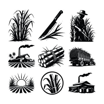 Sugarcane Farming and Industry Black Silhouette Icon Set