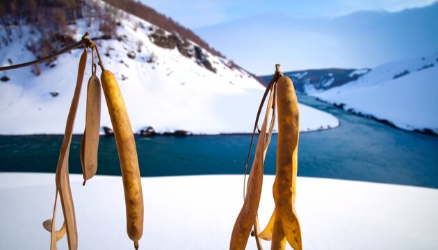 Dried corn husks hanging in snowy mountain landscape with fjord view