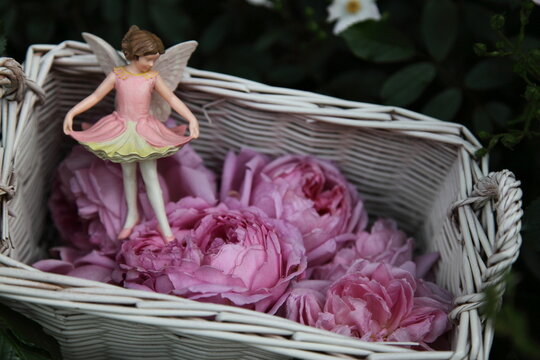 薔薇と薔薇の妖精とカゴ