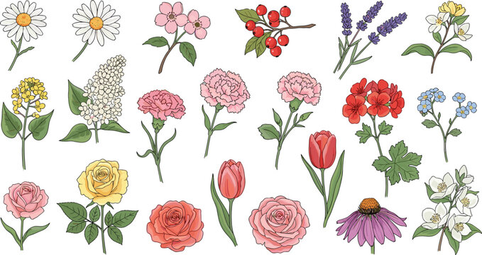hand drawn realistic botanical flower set with watercolor rose tulip daisy lavender lilac and carnation blossoms for vintage wedding invitations and patterns