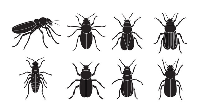 Black beetle silhouette collection, set of 8 insect icons in vector format, minimalist bug and pest control graphic elements for biology education