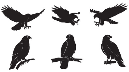 Obraz premium Eagle silhouette vector set, black hawk and falcon bird icons, predatory raptors in flight and perched on branches, 6 wildlife animal elements