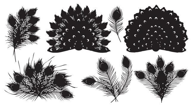 Vintage peacock feather silhouettes, black decorative bird plumage set, elegant hand drawn peacock tail fan vector elements for wedding design