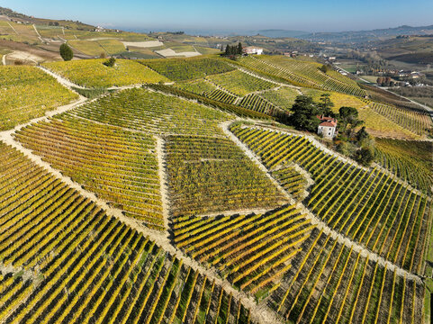Aerial view of Barolo Cannubi Hill with golden autumn vineyards, rolling hills, and rural farmhouses under a clear blue sky Barolo, Piedmont, Italy.