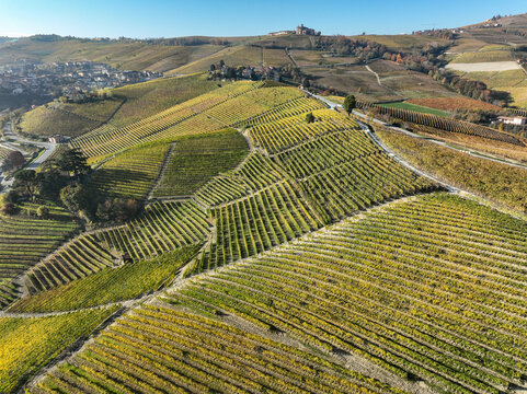 Aerial view of Barolo Cannubi Hill with terraced vineyards in autumn colors under a clear blue sky Barolo, Piedmont, Italy.