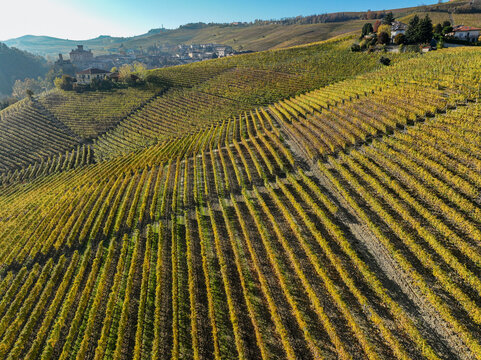 Aerial view of the Barolo Cannubi Hill vineyards with golden autumn foliage and the historic village in the background Barolo, Piedmont, Italy.