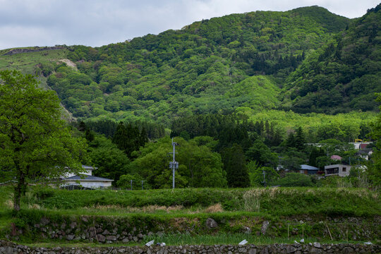 A Taste of Yufuin - Yufuin Village