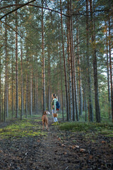 Naklejka premium Woman explorer with basket full of boletuses coming back home, standing on trek, looking at sunset in autumn forest. Female hiker accompanying by dog, returning after gathering mushrooms in woodland.