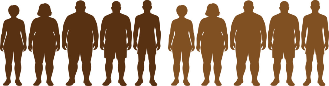 Human body type silhouettes, diverse male and female figures illustrating various body shapes and sizes. Health and fitness concept vector graphic.