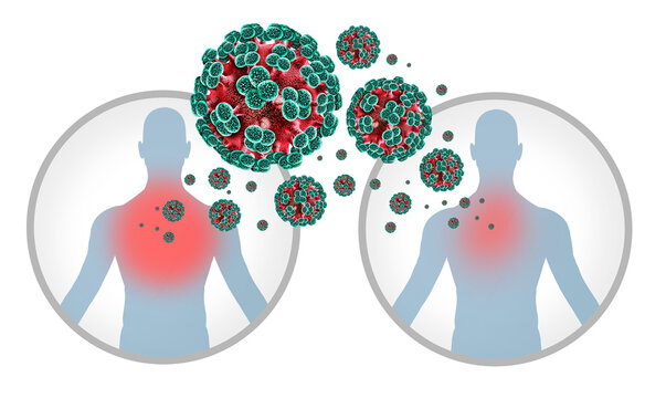 Andes Hantavirus outbreak Human transmission Diagram or Hanta Virus outbreak as a is a zoonotic RNA virus transmitted by infected rodents as mice causing severe respiratory and hemorrhagic diseases in