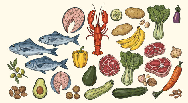 Selection of keto and paleo diet friendly foods including various meats, fish, fresh vegetables, nuts, and healthy fats in color.