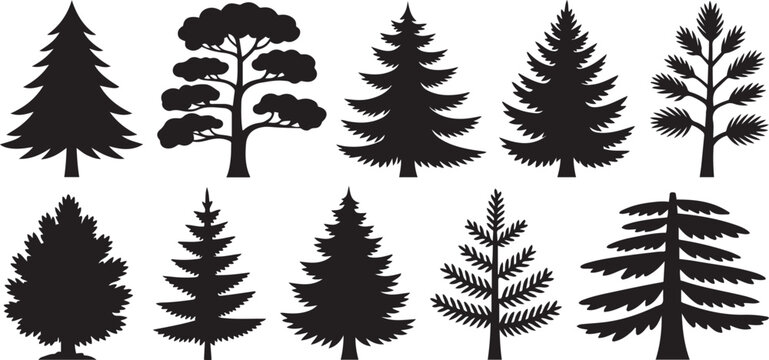 Forest trees set. Isolated vector silhouette. Coniferous forest. Christmas tree, fir-tree, pine, pine-tree, Scotch fir, cedar silhouette vector illustration