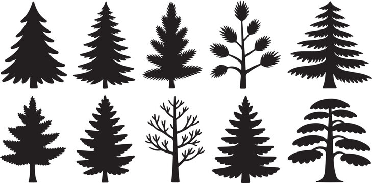 Forest trees set. Isolated vector silhouette. Coniferous forest. Christmas tree, fir-tree, pine, pine-tree, Scotch fir, cedar silhouette vector illustration