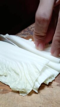 Food Preparation Slicing Chinese Cabbage