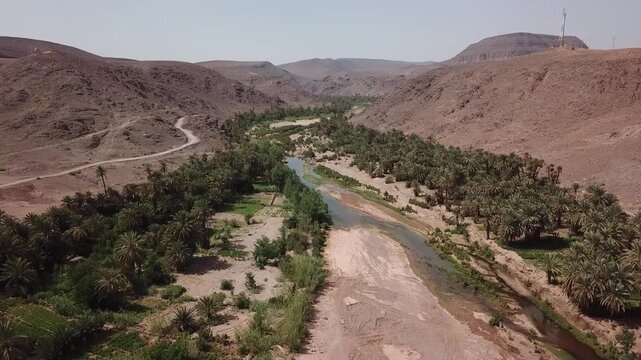 Aerial drone footage of a river flowing through a lush palm oasis surrounded by desert mountains in Ouarzazate, Morocco. Clean composition and natural contrast ideal for travel, environmental, and cin