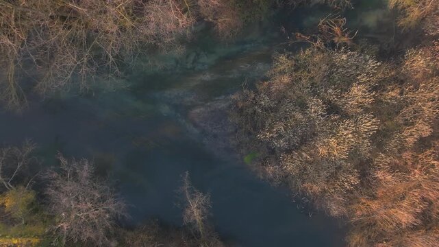Forest river winding through leafless trees and natural vegetation in early season, aerial