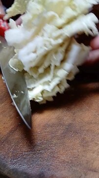 Food Preparation Slicing Chinese Cabbage