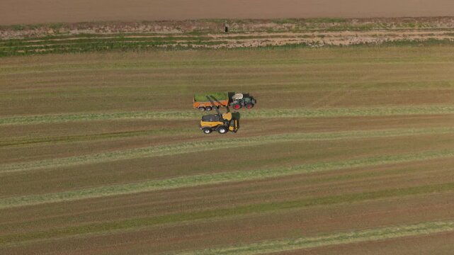 Agricultural machinery working together in Lombardy Italy. Drone view shows a forage harvester processing grass and loading it into a parallel moving tractor trailer.