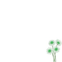 Obraz premium Green Daisy Flower Minimal Nature Background Botanical Floral Design