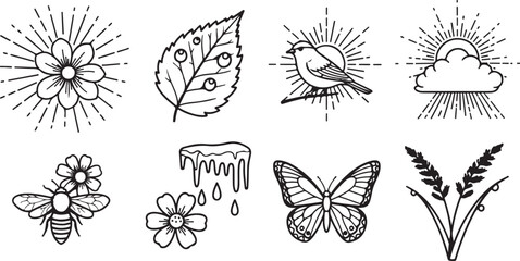 Fototapeta premium Butterfly insect vector icons set black and white line drawing Vector