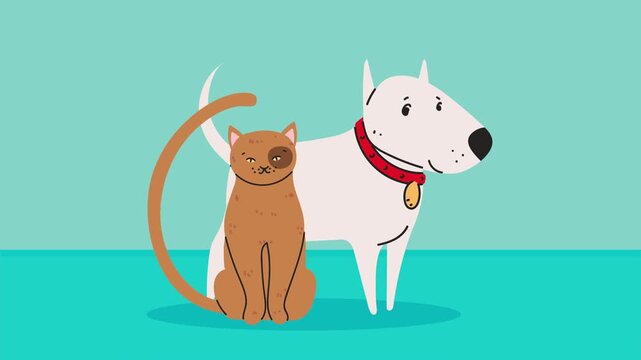 Cute cartoon cat and bull terrier dog animation on teal background.