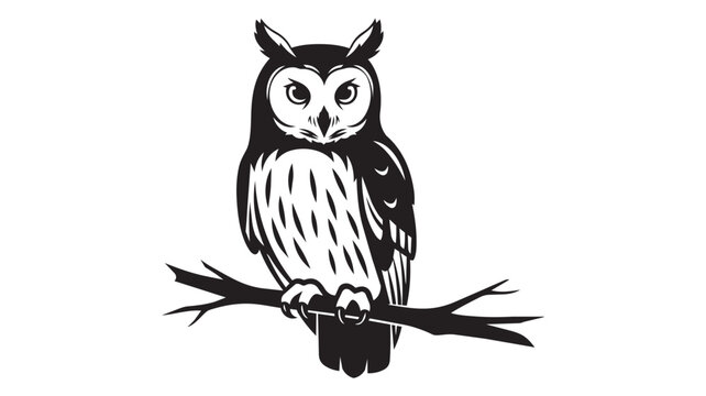 Owl sitting on a tree branch