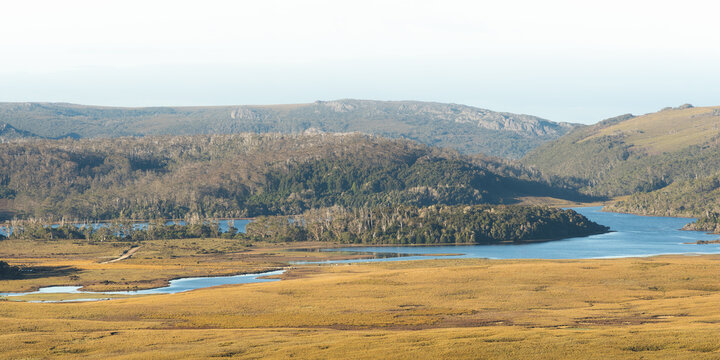 Tasmanian wilderness landscape with lake, golden grasslands and forested hills