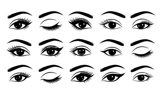 Set of female eye and eyelash shapes for beauty and makeup