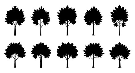 Black silhouettes of various trees on white background tree shapes and forms foliage and trunks © Kamola