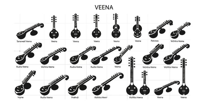 Veena indian stringed musical instruments varieties collection