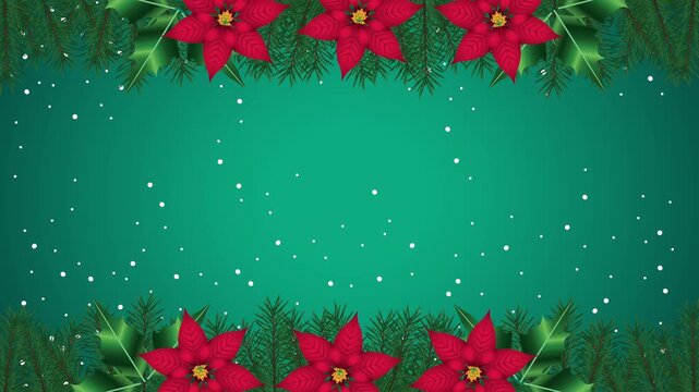 Christmas poinsettia and fir tree border with falling snow motion background.