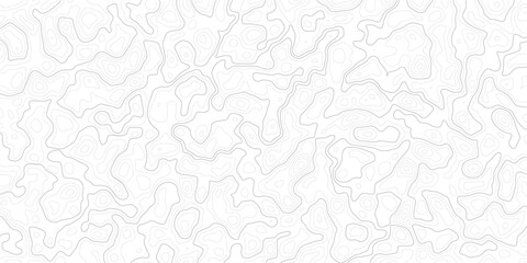 Gray topographic contour lines pattern on white background for design © MD.HUZZATULLAHISLAM
