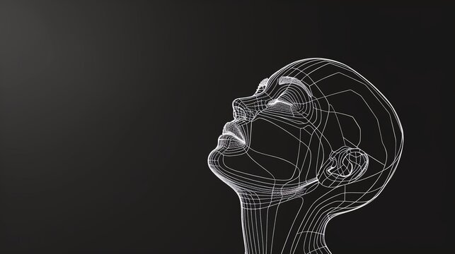 Abstract wireframe representation of a head.