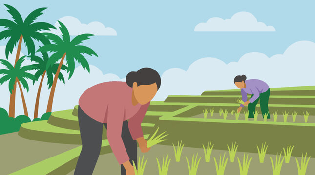 Women planting rice seedlings in terraced paddy fields with palm trees
