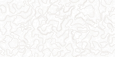 Gray topographic map lines on white background for design and texture © MD.HUZZATULLAHISLAM