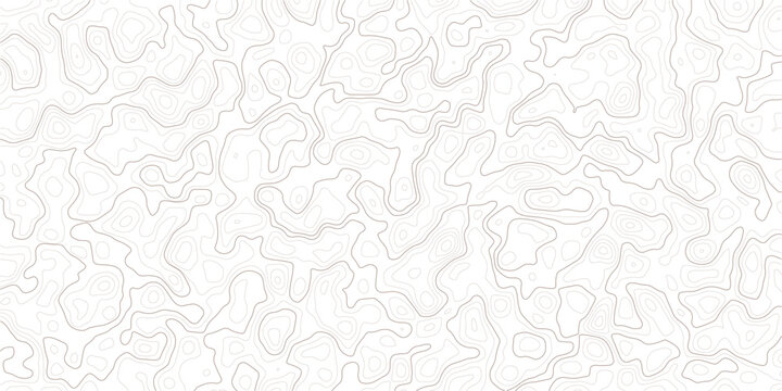 Gray topographic map lines on white background for design and texture