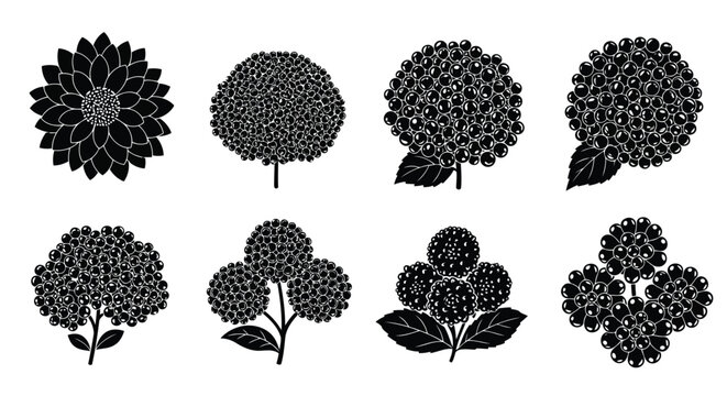 Black hydrangea flower icons set