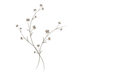 Brown flower branches on white © EmayetHossen