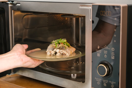 Hand placing a plate of steamed fish with ginger and green onions into a modern microwave oven for heating, kitchen domestic appliance and healthy homemade food concept.