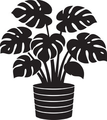 Black monstera plant in a pot Vector © Thanni