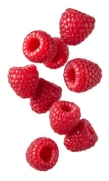 Falling Raspberry isolated on transparent background, full depth of field