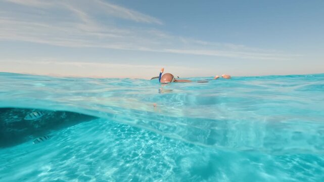 Half underwater split shot of snorkeler floating in calm transparent blue water and watching coral reef fish