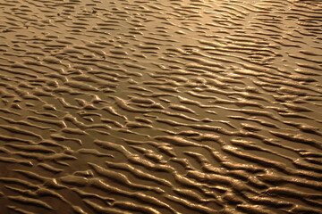 갯벌의 무늬 © ccarax